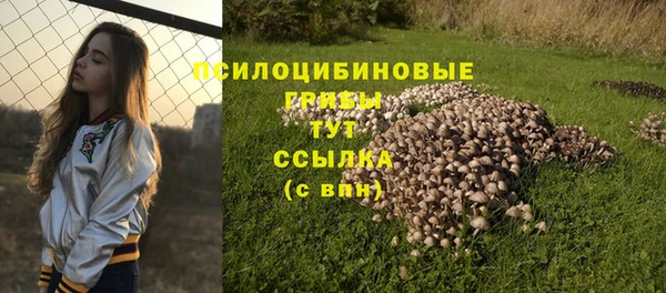 метамфетамин Армянск