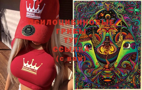 гашишное масло Аркадак